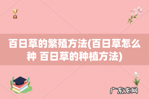百日草怎么种 百日草的种植方法 百日草的繁殖方法