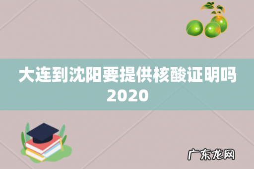 大连到沈阳要提供核酸证明吗2020