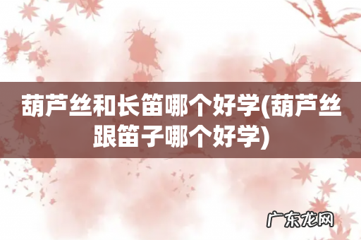 葫芦丝跟笛子哪个好学 葫芦丝和长笛哪个好学