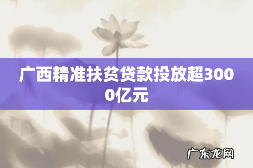 广西精准扶贫贷款投放超3000亿元