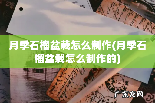 月季石榴盆栽怎么制作的 月季石榴盆栽怎么制作