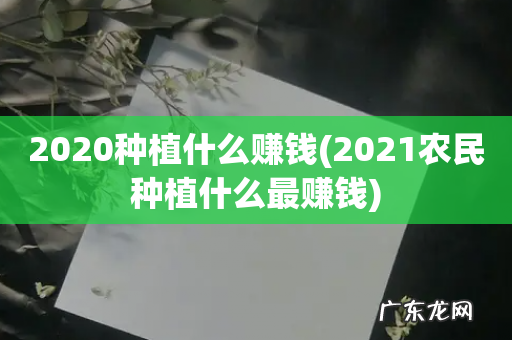 2021农民种植什么最赚钱 2020种植什么赚钱
