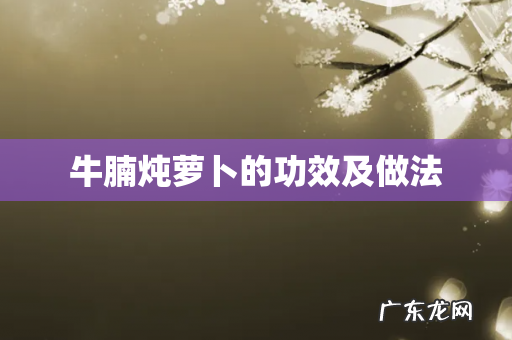 牛腩炖萝卜的功效及做法