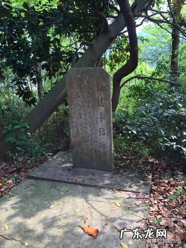 吉龙风水网韦富才风水视频 韦冠成说风水