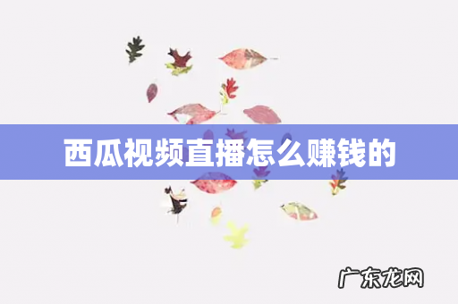 西瓜视频直播怎么赚钱的