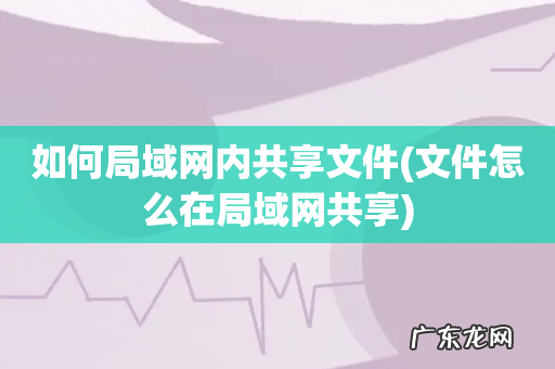 文件怎么在局域网共享 如何局域网内共享文件