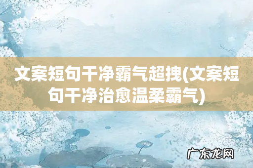 文案短句干净治愈温柔霸气 文案短句干净霸气超拽