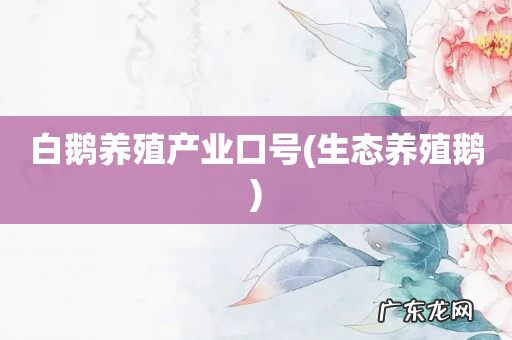 生态养殖鹅 白鹅养殖产业口号