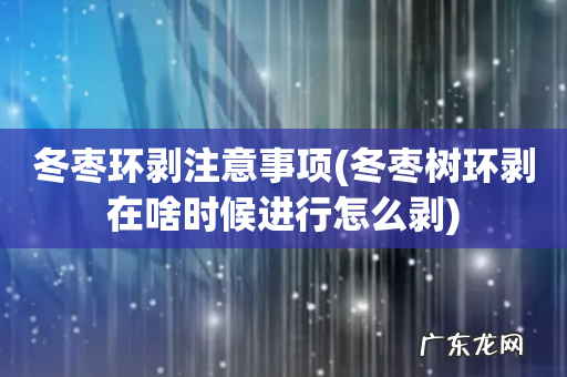 冬枣树环剥在啥时候进行怎么剥 冬枣环剥注意事项