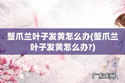 蟹爪兰叶子发黄怎么办? 蟹爪兰叶子发黄怎么办