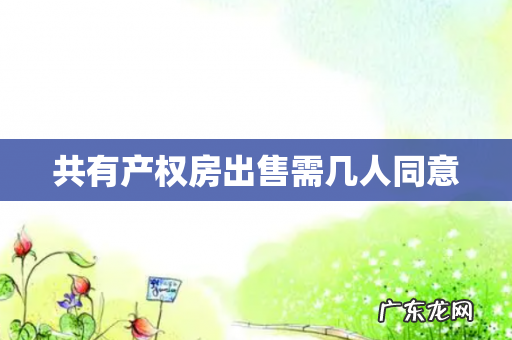共有产权房出售需几人同意