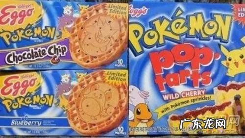 口袋妖怪金银攻略图解 口袋妖怪金攻略完整版