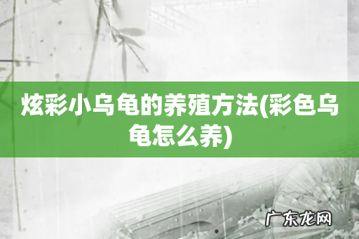 彩色乌龟怎么养 炫彩小乌龟的养殖方法