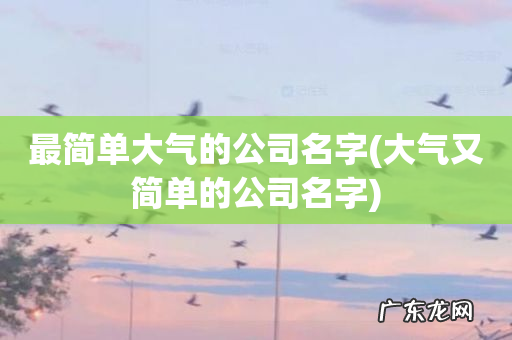 大气又简单的公司名字 最简单大气的公司名字
