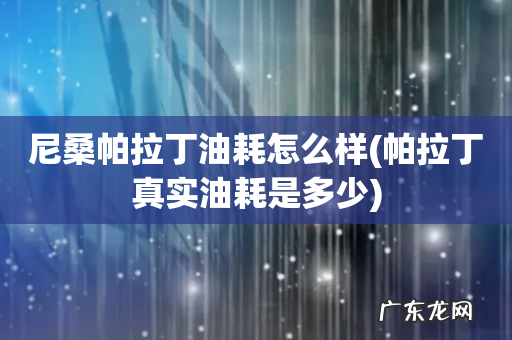 帕拉丁真实油耗是多少 尼桑帕拉丁油耗怎么样