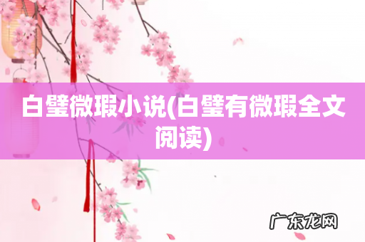 白璧有微瑕全文阅读 白璧微瑕小说