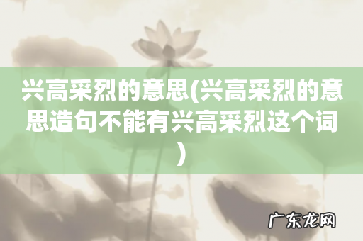 兴高采烈的意思造句不能有兴高采烈这个词 兴高采烈的意思