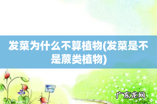 发菜是不是蕨类植物 发菜为什么不算植物