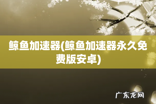 鲸鱼加速器永久免费版安卓 鲸鱼加速器