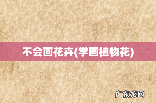 学画植物花 不会画花卉