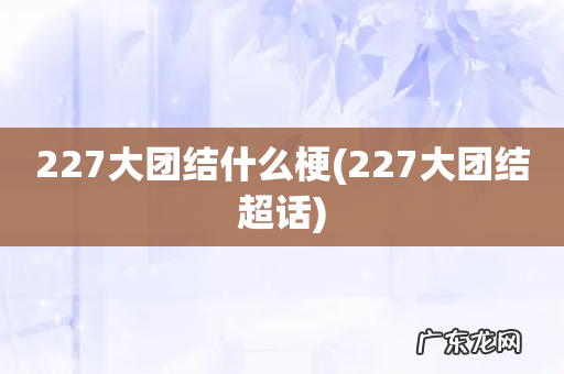 227大团结超话 227大团结什么梗