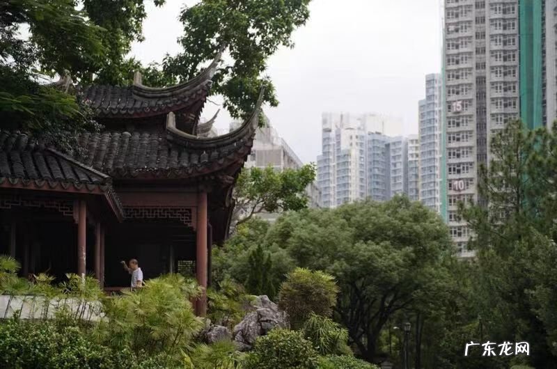 九龙戏珠风水图片 九龙寨图片