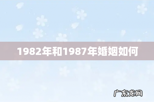 1982年和1987年婚姻如何