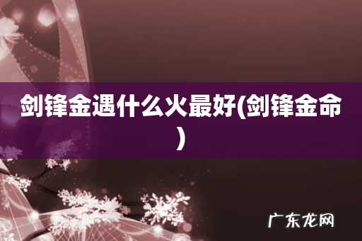 剑锋金命 剑锋金遇什么火最好