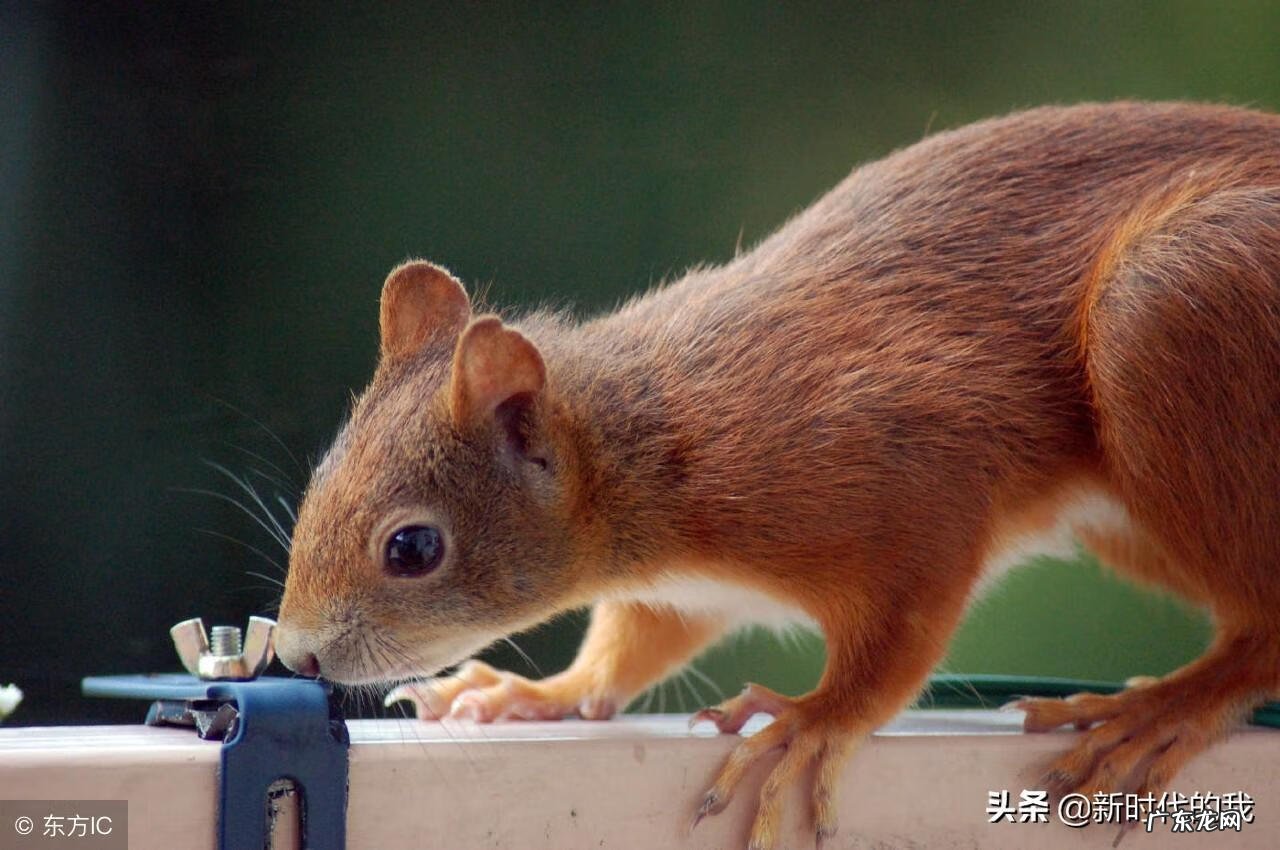 培养英语的兴趣