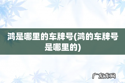 鸿的车牌号是哪里的 鸿是哪里的车牌号