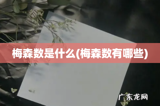 梅森数有哪些 梅森数是什么