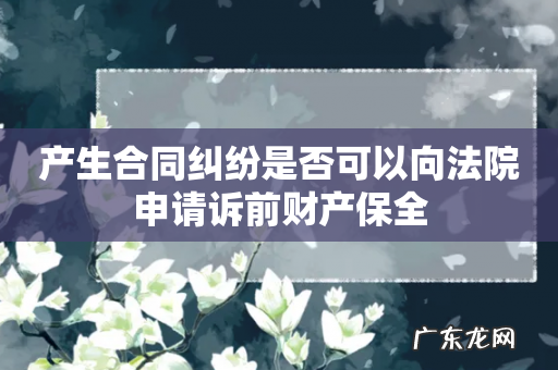 产生合同纠纷是否可以向法院申请诉前财产保全