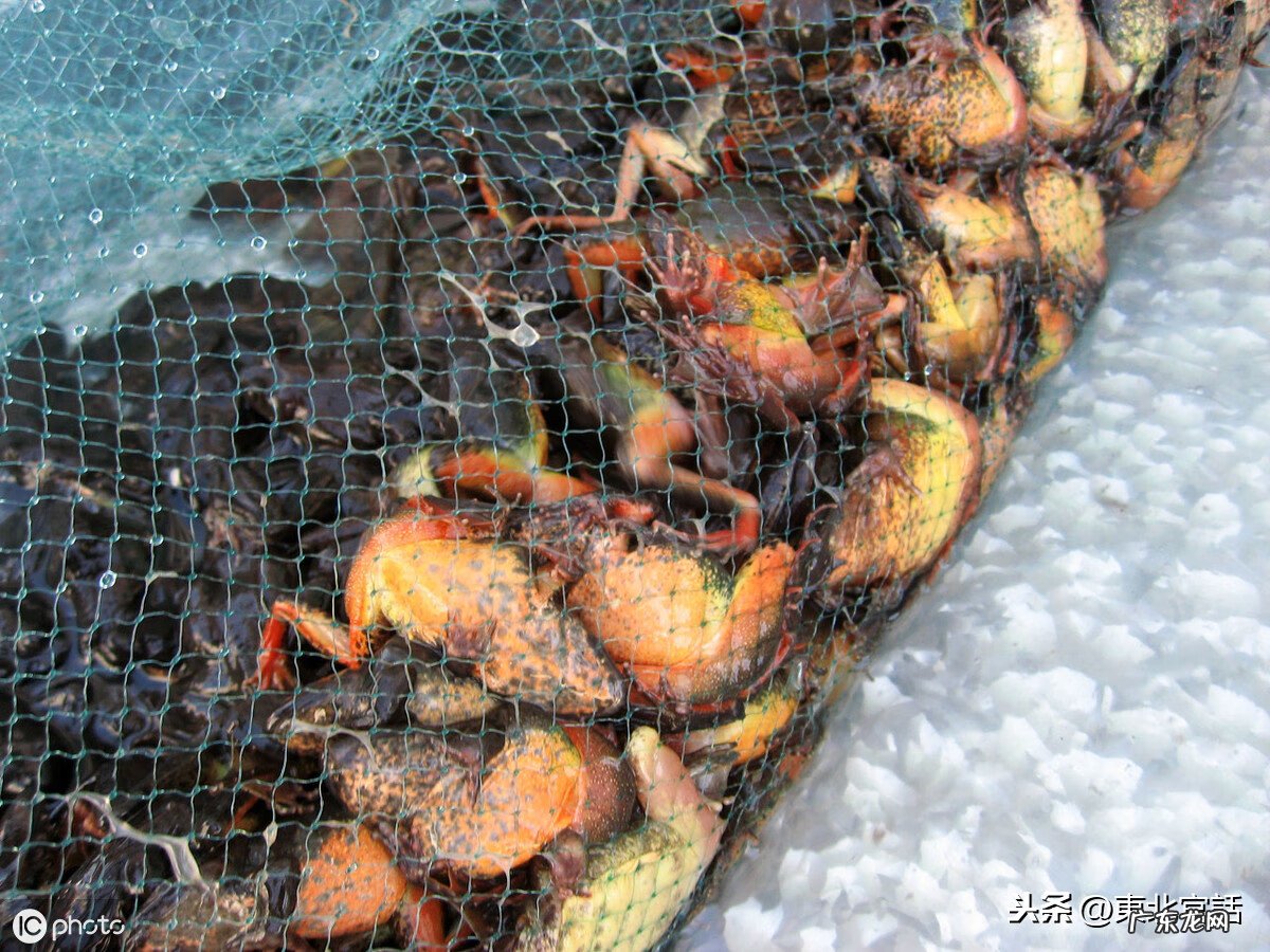 嘎拉哈规则 嘎拉哈风水