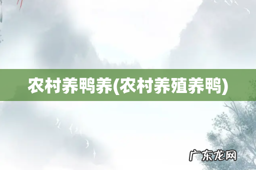 农村养殖养鸭 农村养鸭养