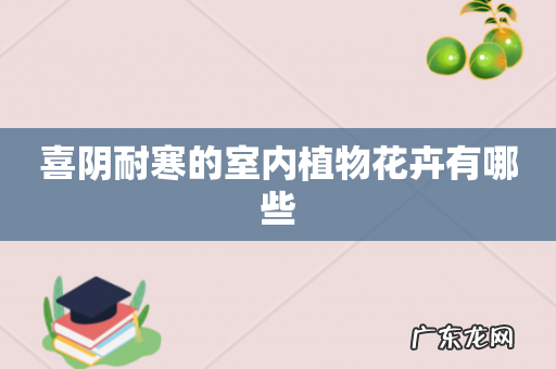 喜阴耐寒的室内植物花卉有哪些