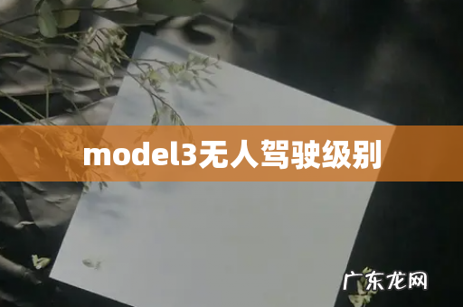 model3无人驾驶级别