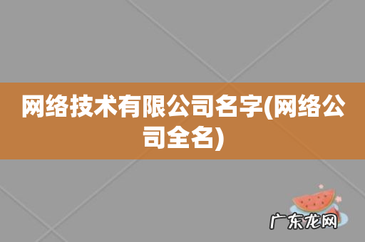 网络公司全名 网络技术有限公司名字