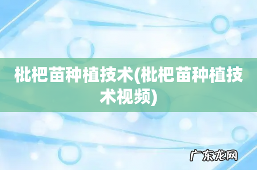 枇杷苗种植技术视频 枇杷苗种植技术