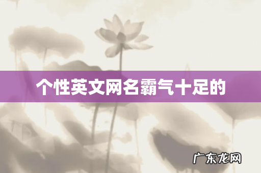 个性英文网名霸气十足的