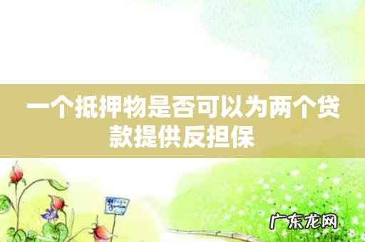 一个抵押物是否可以为两个贷款提供反担保