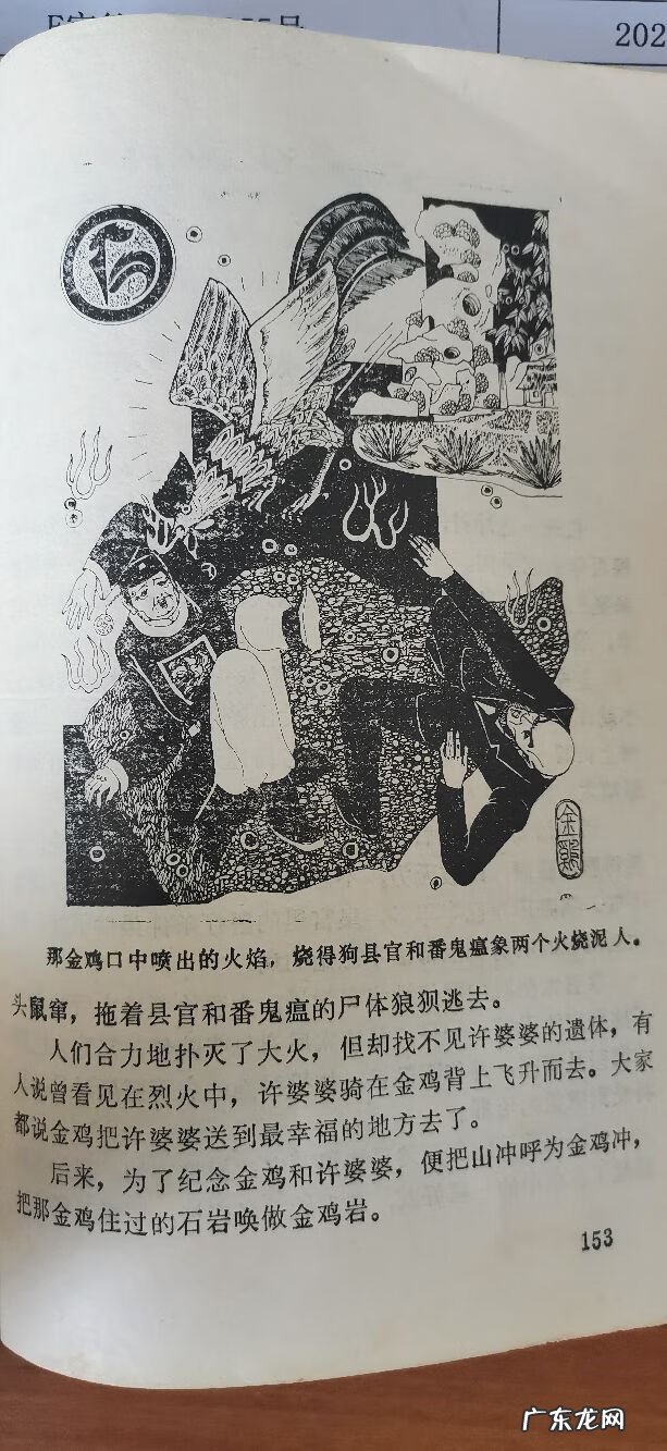 风水金鸡地如何 梧州金鸡冲风水