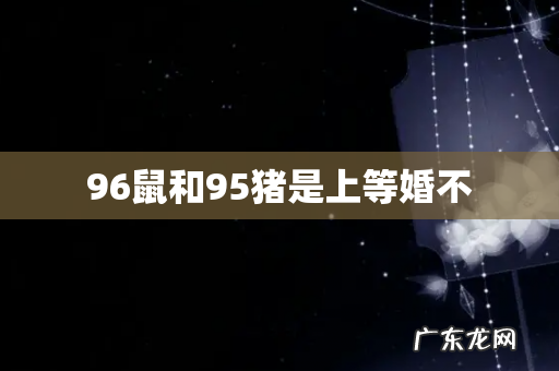 96鼠和95猪是上等婚不