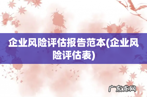 企业风险评估表 企业风险评估报告范本