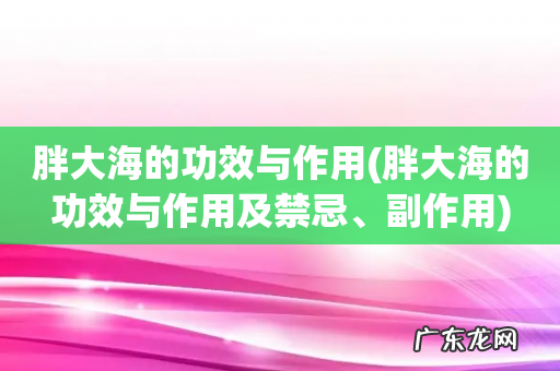 胖大海的功效与作用及禁忌、副作用 胖大海的功效与作用
