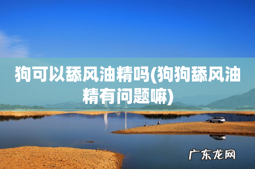 狗狗舔风油精有问题嘛 狗可以舔风油精吗