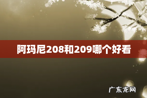 阿玛尼208和209哪个好看