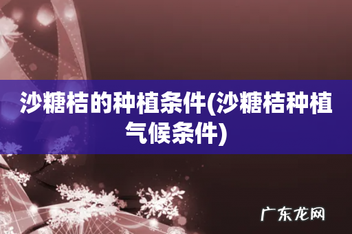 沙糖桔种植气候条件 沙糖桔的种植条件