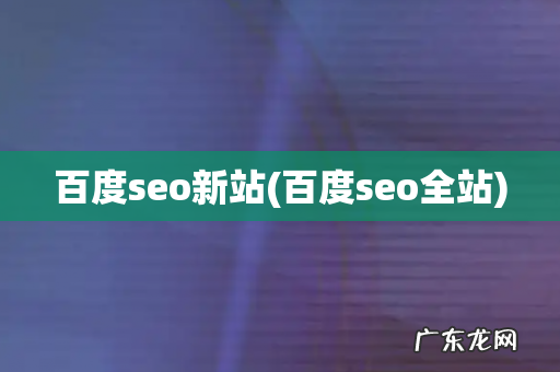百度seo全站 百度seo新站