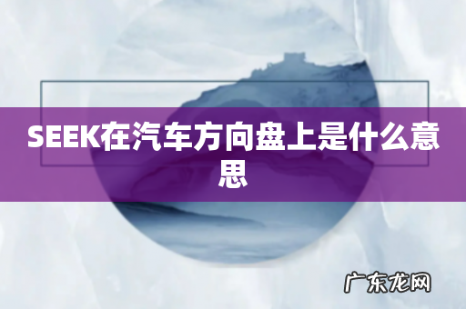 SEEK在汽车方向盘上是什么意思