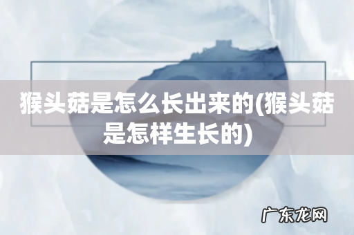 猴头菇是怎样生长的 猴头菇是怎么长出来的